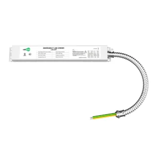 20W LED Emergency Backup Driver